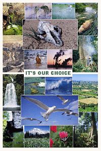 It&#39;s Our Choice Poster (Laminated)