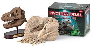 Triceratops Dinosaur Skull Dig Kit by geocentral, Dinosaur dig toy, Kids dinosaur skulls, Dino dig