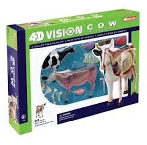 Vision Cow Anatomy Model 