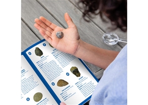 fossil finds dinosaur excavation kit