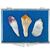 Quartz, Amethyst, & Citrine Points Educational Box