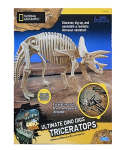 dino dig site triceratops