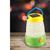 Primary Science® Solar Lantern