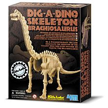 dino dig amazon