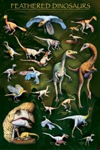 Feathered Dinosaurs Poster-Laminated Rolled and Sleeved