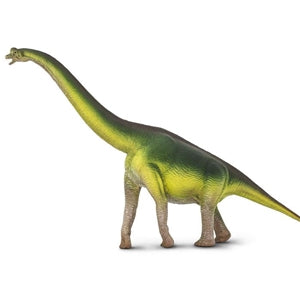 2018 Safari Dinosaur Brachiosaurus Toy Model