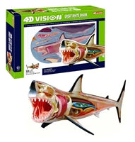 4D Vision Anatomy Kit - Great White Shark
