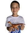 Discover With Dr Cool Soft Dinosaur Velociraptor