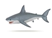 Papo White Shark Model Toy 2018