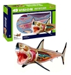 4D Vision Anatomy Model Kit, Animal Anatomy Models, Tedco Toys, 4D Vision