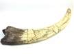 Therinzinosaurus Claw Replica, Therinzinosaurus dinosaur claw model, Therinzinosaurus dinosaur claw 