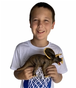 Discover With Dr Cool Soft Dinosaur Triceratops